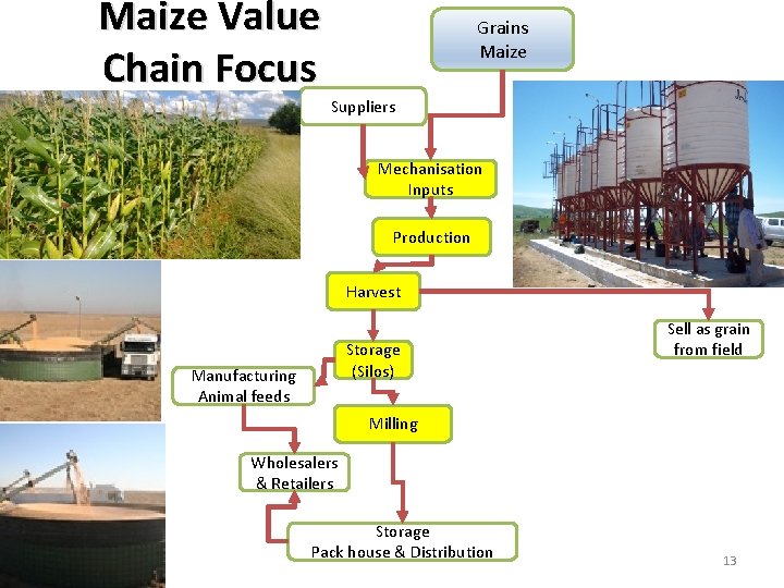 Maize Value Chain Focus Grains Maize Suppliers Mechanisation Inputs Production Harvest Storage (Silos) Manufacturing