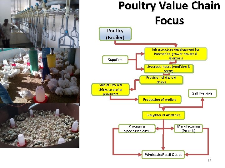 Poultry Value Chain Focus Poultry (Broiler) Infrastructure development for hatcheries, grower houses & abattoirs