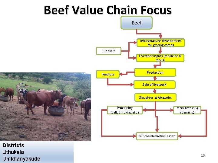 Beef Value Chain Focus Beef Infrastructure development for grazing camps Suppliers Livestock Inputs (medicine