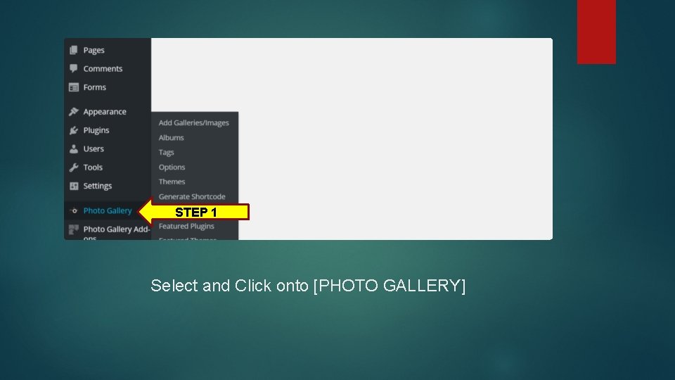 STEP 1 Select and Click onto [PHOTO GALLERY] 