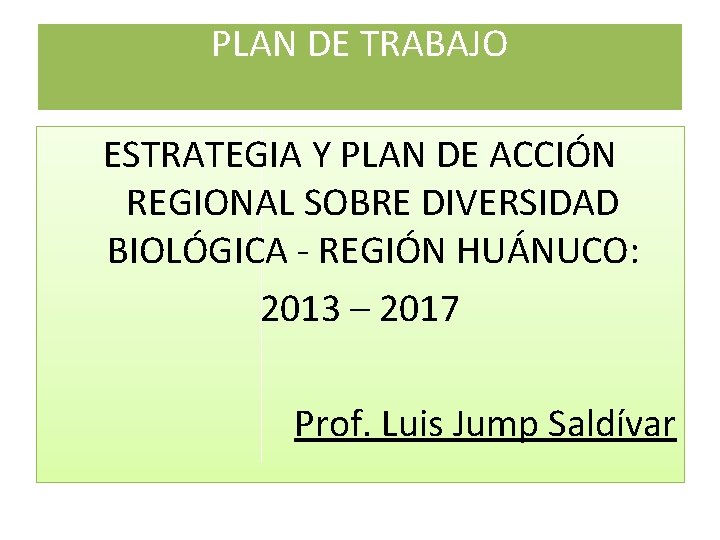 PLAN DE TRABAJO ESTRATEGIA Y PLAN DE ACCIÓN REGIONAL SOBRE DIVERSIDAD BIOLÓGICA - REGIÓN