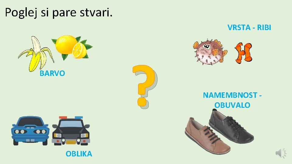 Poglej si pare stvari. VRSTA - RIBI ? BARVO OBLIKA NAMEMBNOST OBUVALO 