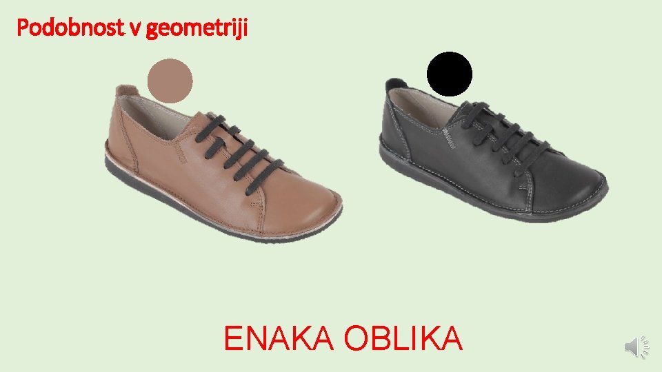 Podobnost v geometriji ENAKA OBLIKA 