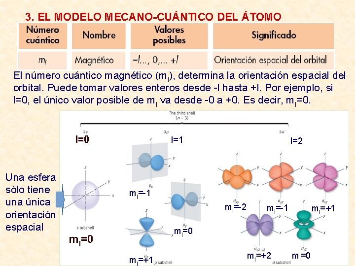 3. EL MODELO MECANO-CUÁNTICO DEL ÁTOMO El número cuántico magnético (ml), determina la orientación