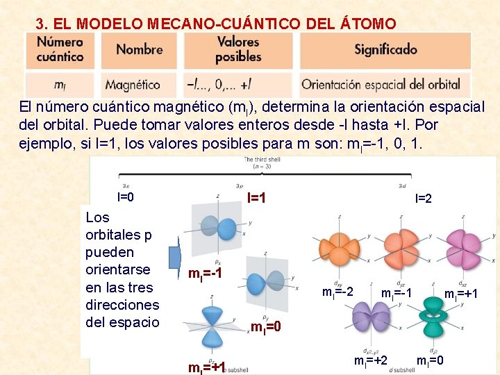 3. EL MODELO MECANO-CUÁNTICO DEL ÁTOMO El número cuántico magnético (ml), determina la orientación