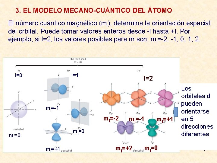 3. EL MODELO MECANO-CUÁNTICO DEL ÁTOMO El número cuántico magnético (ml), determina la orientación