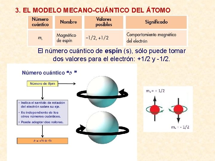 3. EL MODELO MECANO-CUÁNTICO DEL ÁTOMO El número cuántico de espín (s), sólo puede