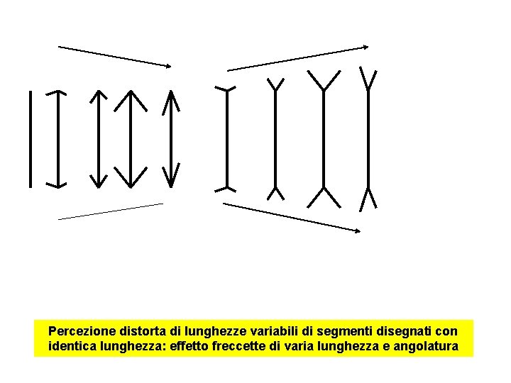 Percezione distorta di lunghezze variabili di segmenti disegnati con identica lunghezza: effetto freccette di