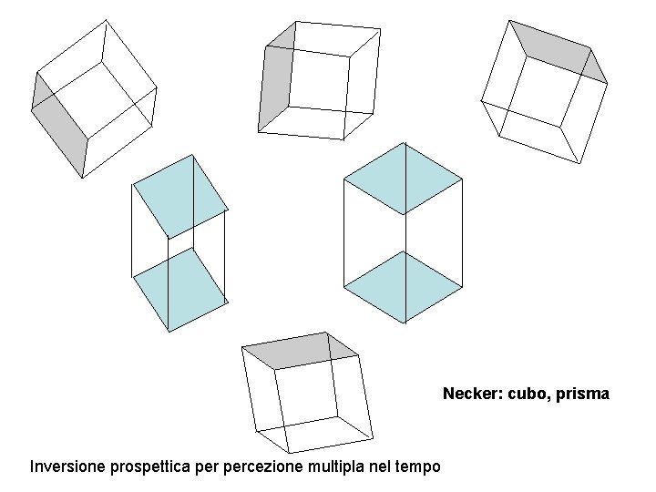 Necker: cubo, prisma Inversione prospettica percezione multipla nel tempo 