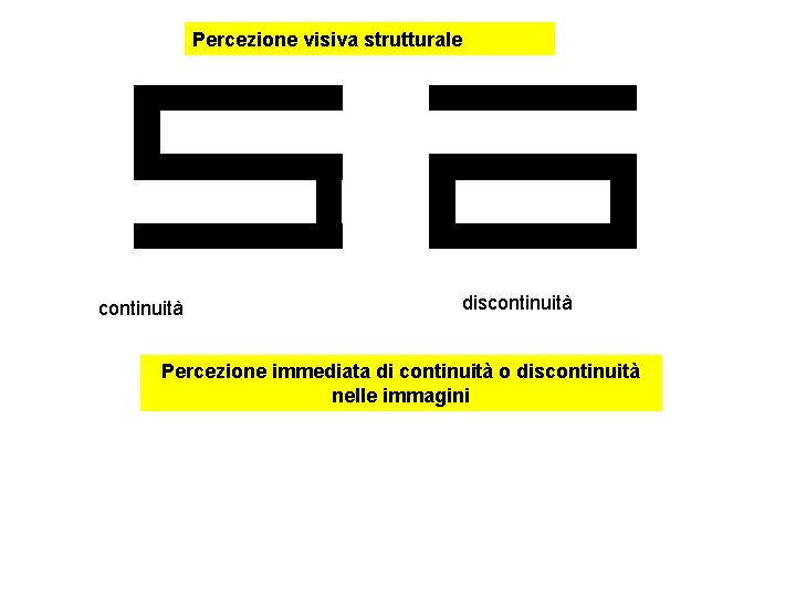 Percezione visiva strutturale continuità discontinuità Percezione immediata di continuità o discontinuità nelle immagini 