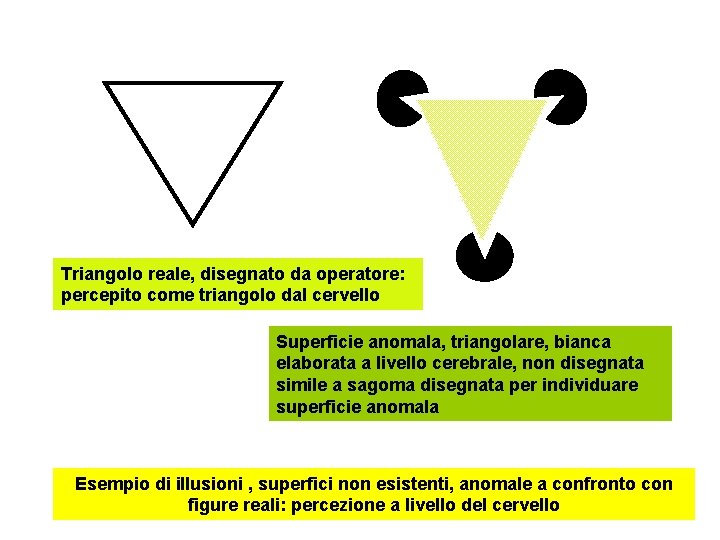 Triangolo reale, disegnato da operatore: percepito come triangolo dal cervello Superficie anomala, triangolare, bianca