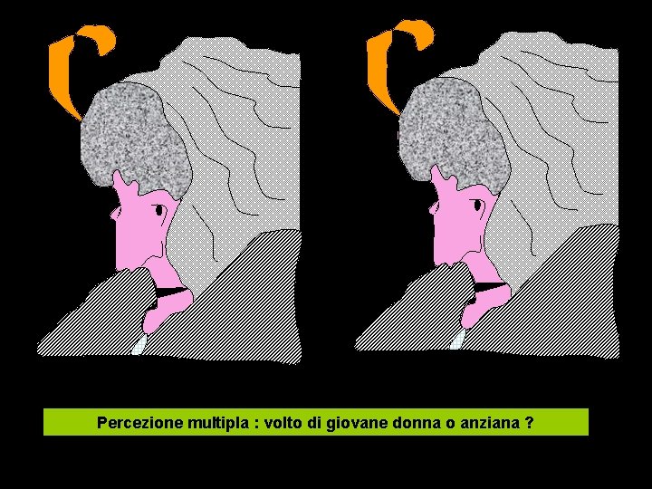 Percezione multipla : volto di giovane donna o anziana ? 