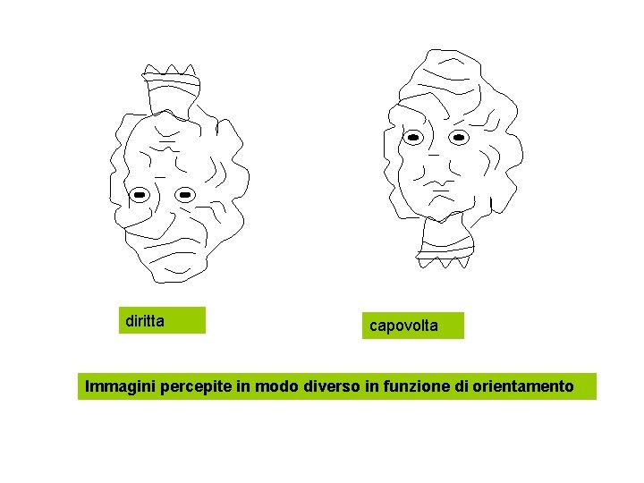 diritta capovolta Immagini percepite in modo diverso in funzione di orientamento 