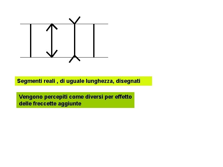 Segmenti reali , di uguale lunghezza, disegnati Vengono percepiti come diversi per effetto delle