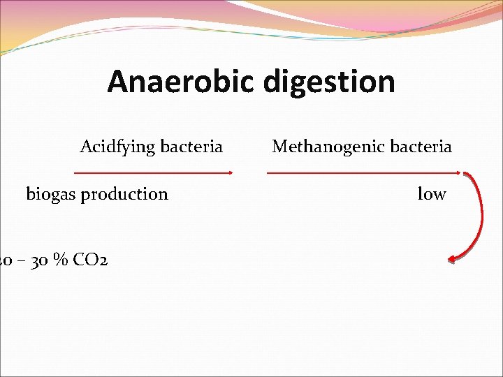 Anaerobic digestion Acidfying bacteria biogas production 20 – 30 % CO 2 Methanogenic bacteria