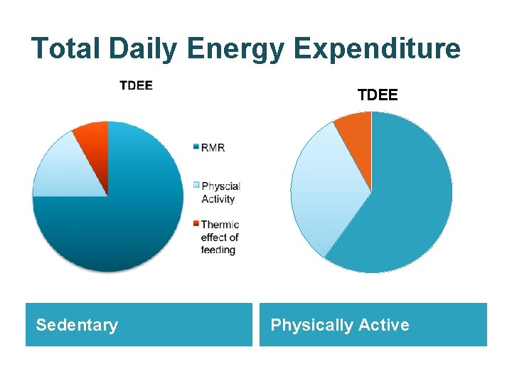 Total Daily Energy Expenditure TDEE Sedentary Physically Active 