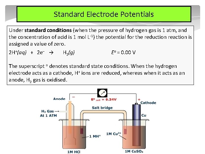 Standard Electrode Potentials Under standard conditions (when the pressure of hydrogen gas is 1