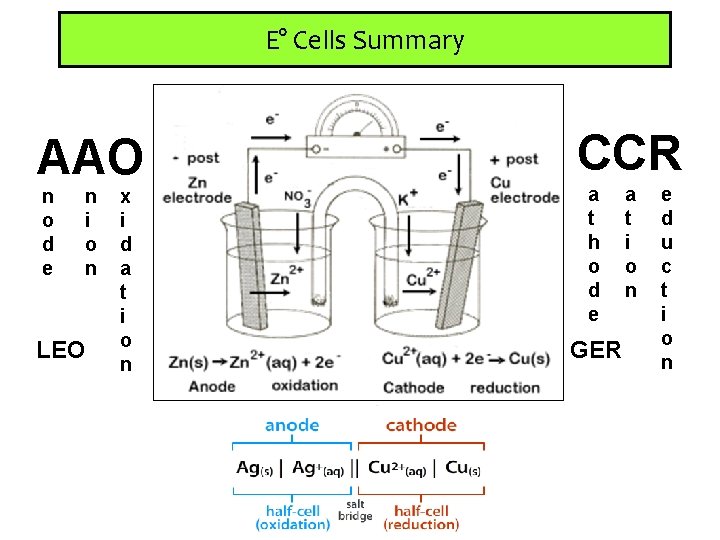 E° Cells Summary AAO n o d e n i o n LEO x