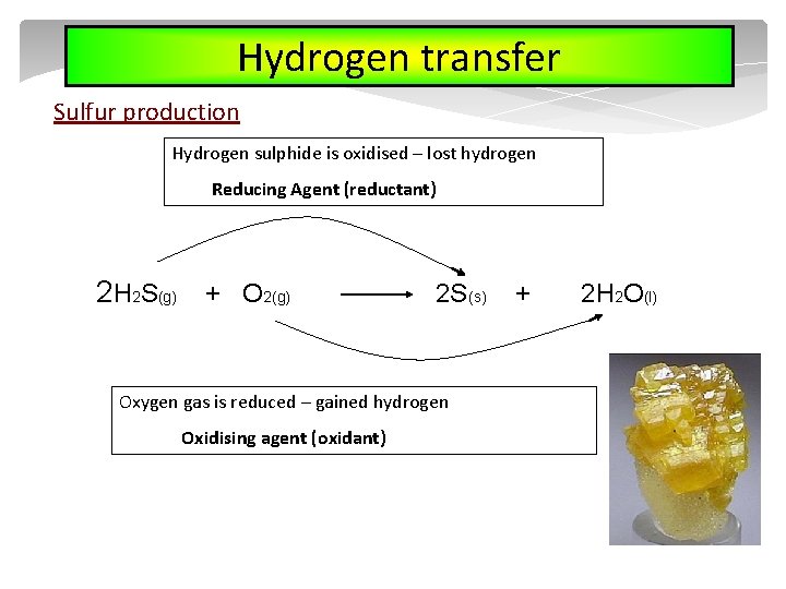 Hydrogen transfer Sulfur production Hydrogen sulphide is oxidised – lost hydrogen Reducing Agent (reductant)