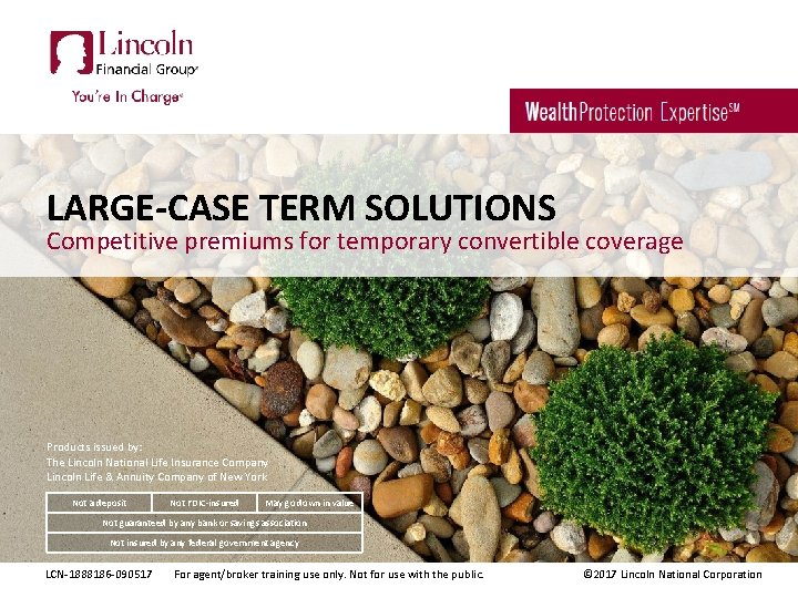 LARGE-CASE TERM SOLUTIONS Competitive premiums for temporary convertible coverage Products issued by: The Lincoln