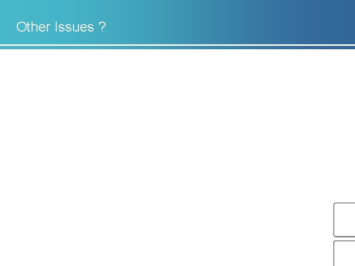 Other Issues ? 