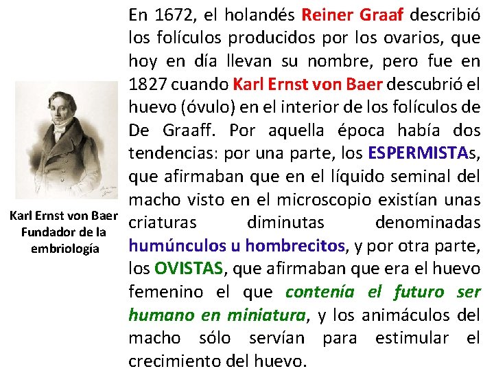 Karl Ernst von Baer Fundador de la embriología En 1672, el holandés Reiner Graaf