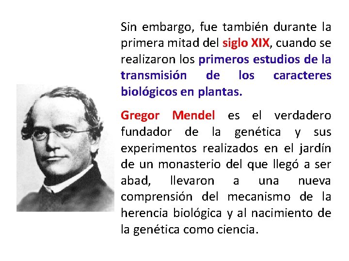 Sin embargo, fue también durante la primera mitad del siglo XIX, cuando se realizaron