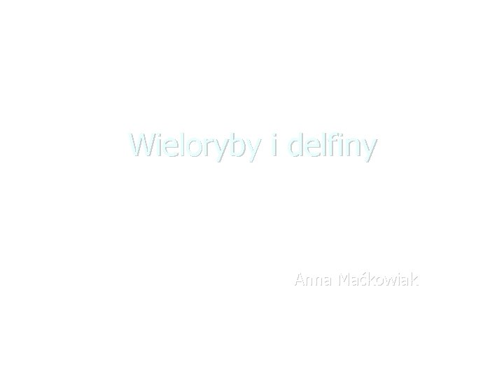 Wieloryby i delfiny Anna Maćkowiak 