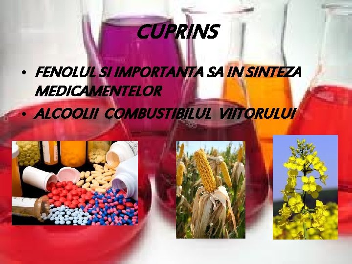 CUPRINS • FENOLUL SI IMPORTANTA SA IN SINTEZA MEDICAMENTELOR • ALCOOLII COMBUSTIBILUL VIITORULUI 