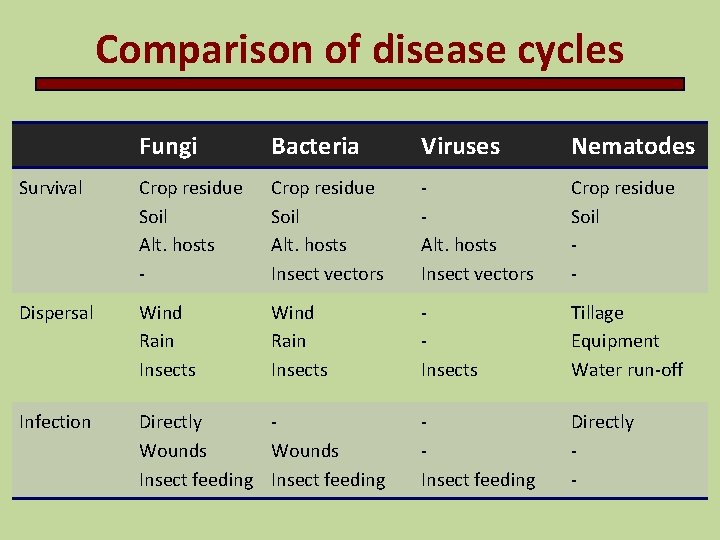 Comparison of disease cycles Fungi Bacteria Viruses Nematodes Survival Crop residue Soil Alt. hosts
