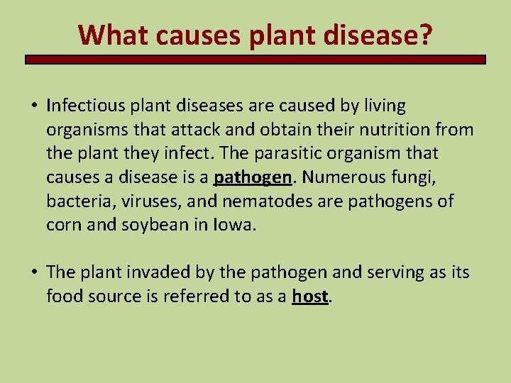 What causes plant disease? • Infectious plant diseases are caused by living organisms that