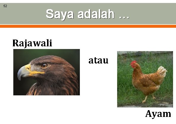 52 Saya adalah … Rajawali atau Ayam 