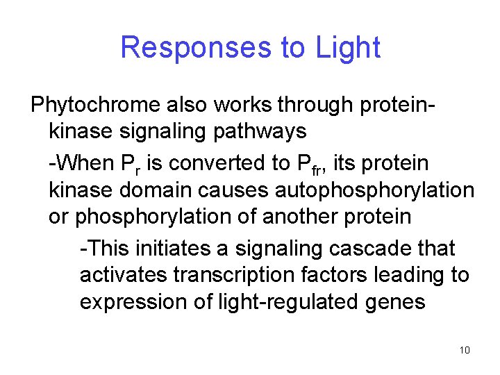 Responses to Light Phytochrome also works through proteinkinase signaling pathways -When Pr is converted