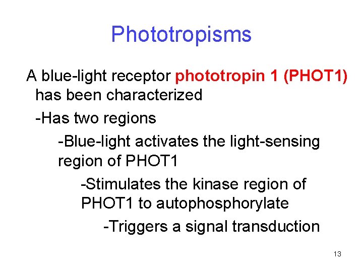 Phototropisms A blue-light receptor phototropin 1 (PHOT 1) has been characterized -Has two regions