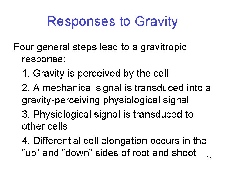 Responses to Gravity Four general steps lead to a gravitropic response: 1. Gravity is