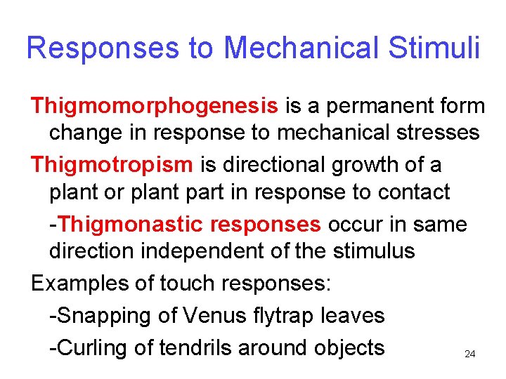 Responses to Mechanical Stimuli Thigmomorphogenesis is a permanent form change in response to mechanical