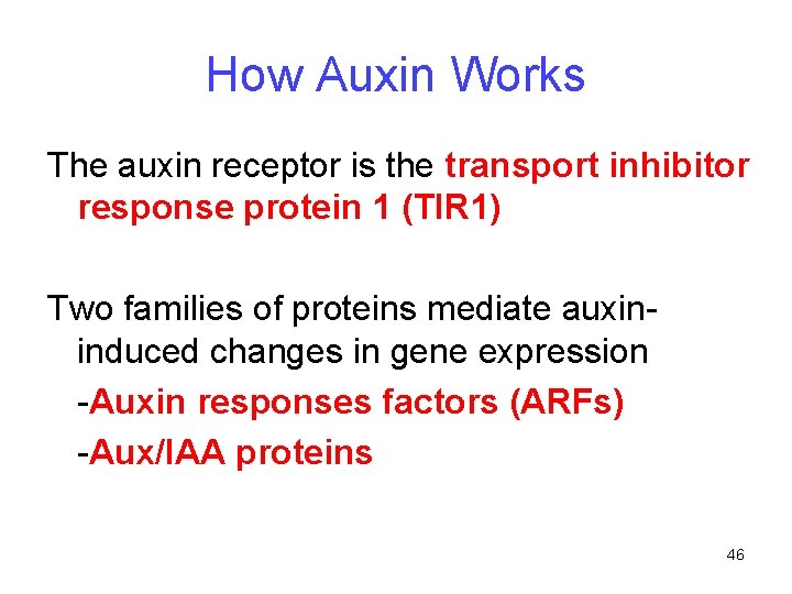 How Auxin Works The auxin receptor is the transport inhibitor response protein 1 (TIR