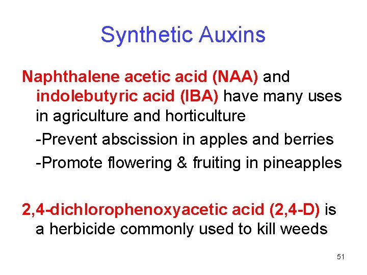 Synthetic Auxins Naphthalene acetic acid (NAA) and indolebutyric acid (IBA) have many uses in