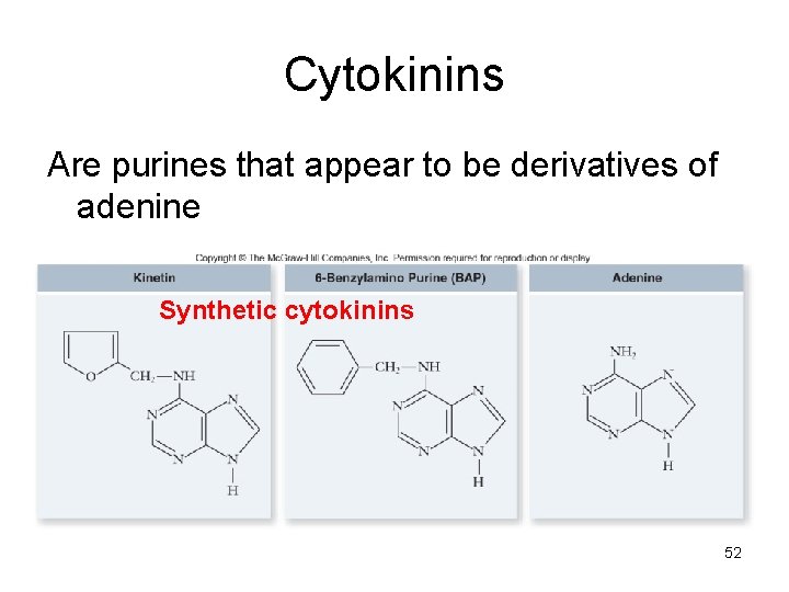 Cytokinins Are purines that appear to be derivatives of adenine Synthetic cytokinins 52 