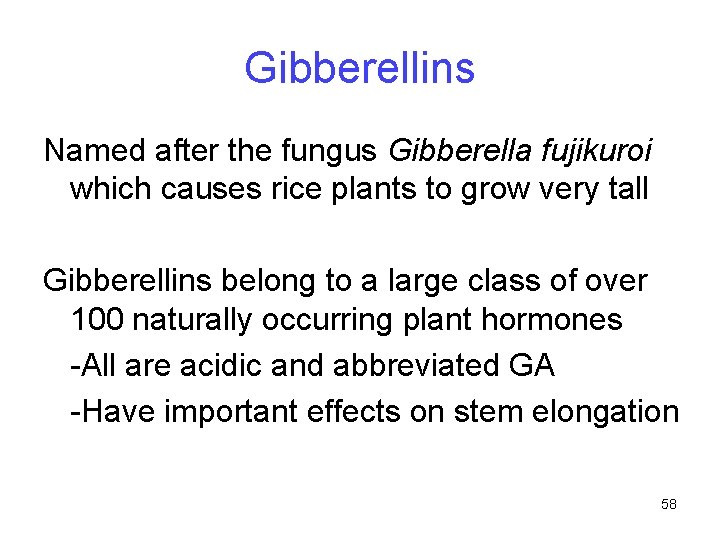 Gibberellins Named after the fungus Gibberella fujikuroi which causes rice plants to grow very