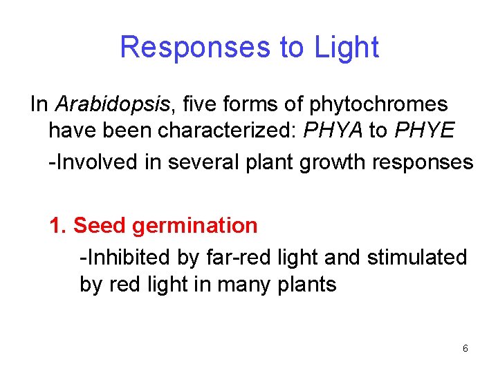 Responses to Light In Arabidopsis, five forms of phytochromes have been characterized: PHYA to