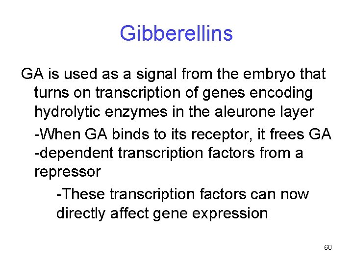 Gibberellins GA is used as a signal from the embryo that turns on transcription