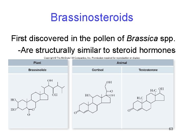 Brassinosteroids First discovered in the pollen of Brassica spp. -Are structurally similar to steroid
