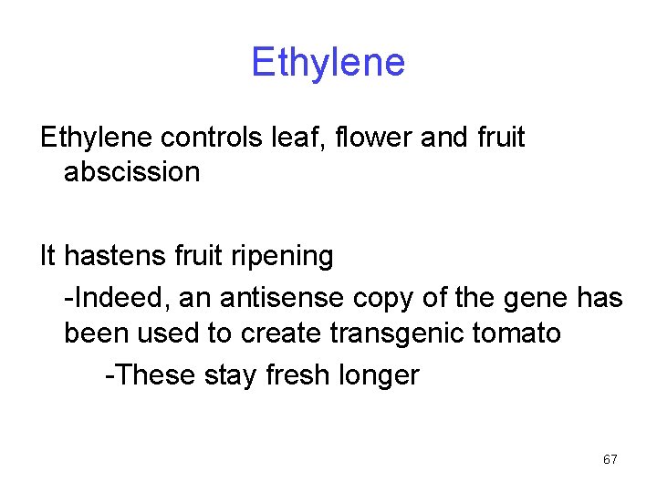 Ethylene controls leaf, flower and fruit abscission It hastens fruit ripening -Indeed, an antisense
