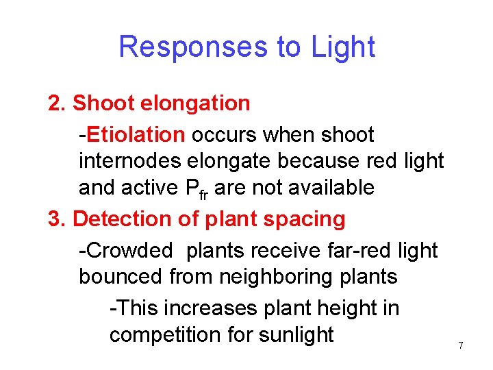 Responses to Light 2. Shoot elongation -Etiolation occurs when shoot internodes elongate because red