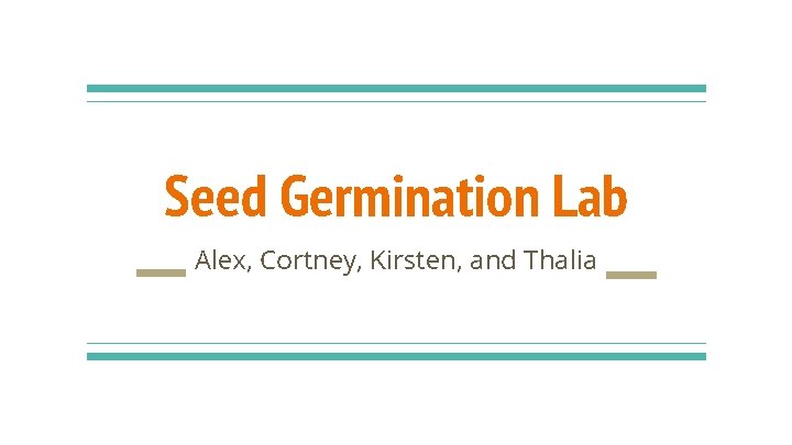 Seed Germination Lab Alex, Cortney, Kirsten, and Thalia 