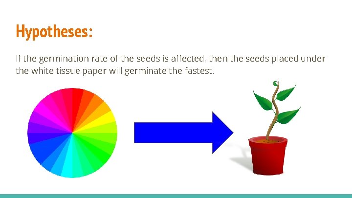 Hypotheses: If the germination rate of the seeds is affected, then the seeds placed