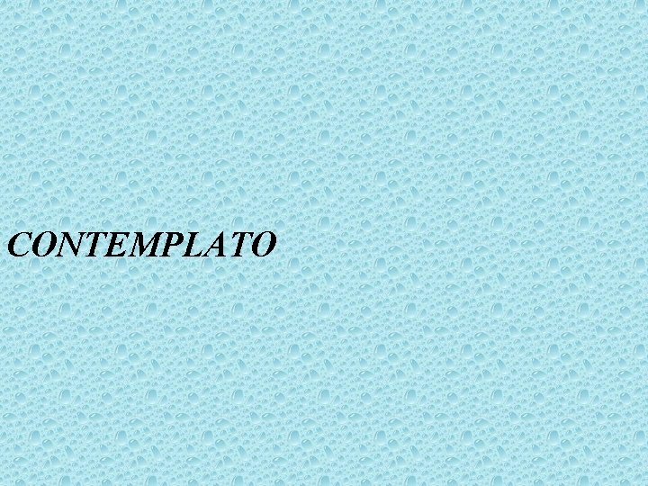 CONTEMPLATO 