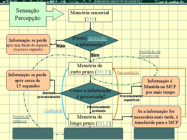 Sensação Percepção Memória sensorial (MS) Informação se perde Prestei atenção à informação? após uma