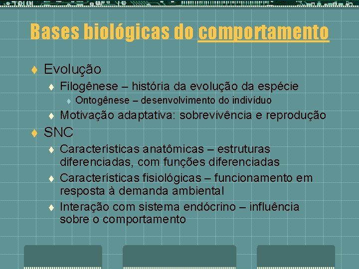 Bases biológicas do comportamento t Evolução t Filogênese – história da evolução da espécie